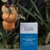 Serum SkinMTX Night Resurfacing Booster+ 15ml - Dưỡng Phục Hồi Da Ban Đêm